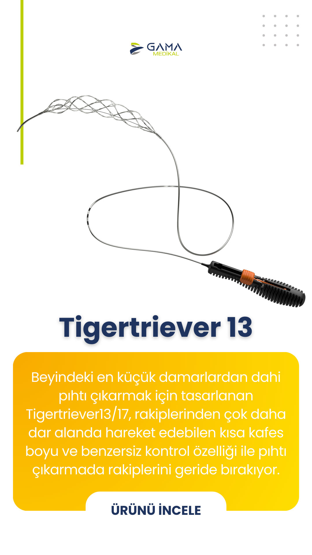 Tigertriever13