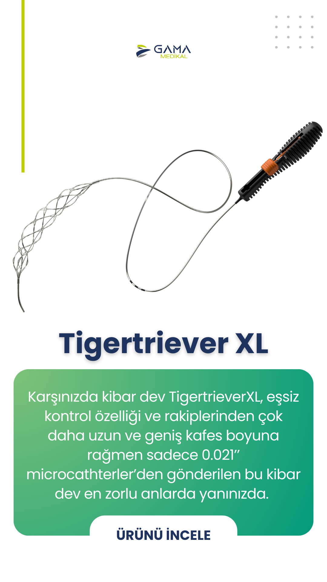 TigertrieverXL