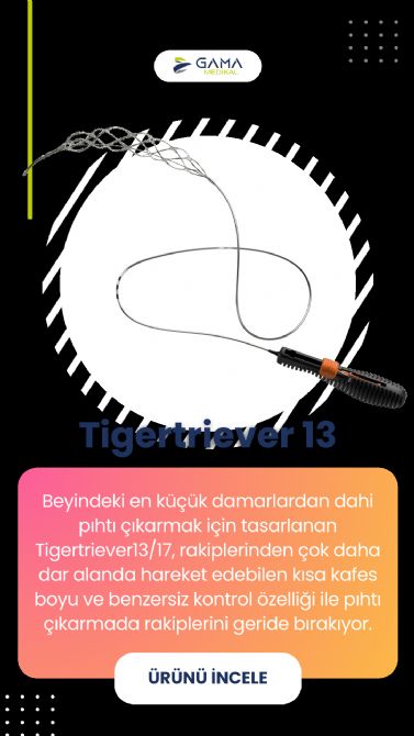 Tigertriever13